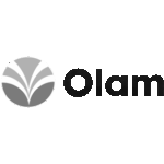 Olam